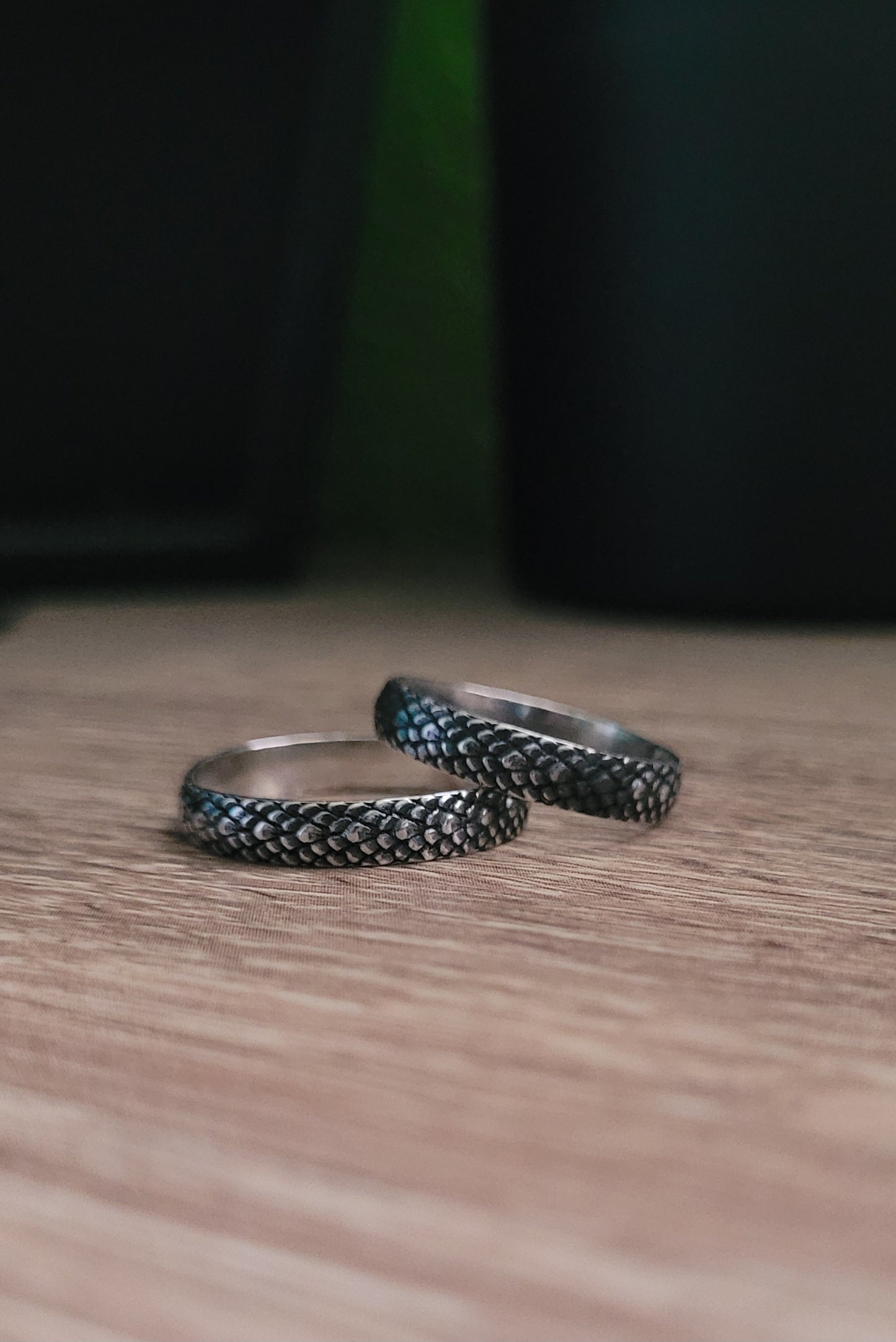 Snakeskin Band