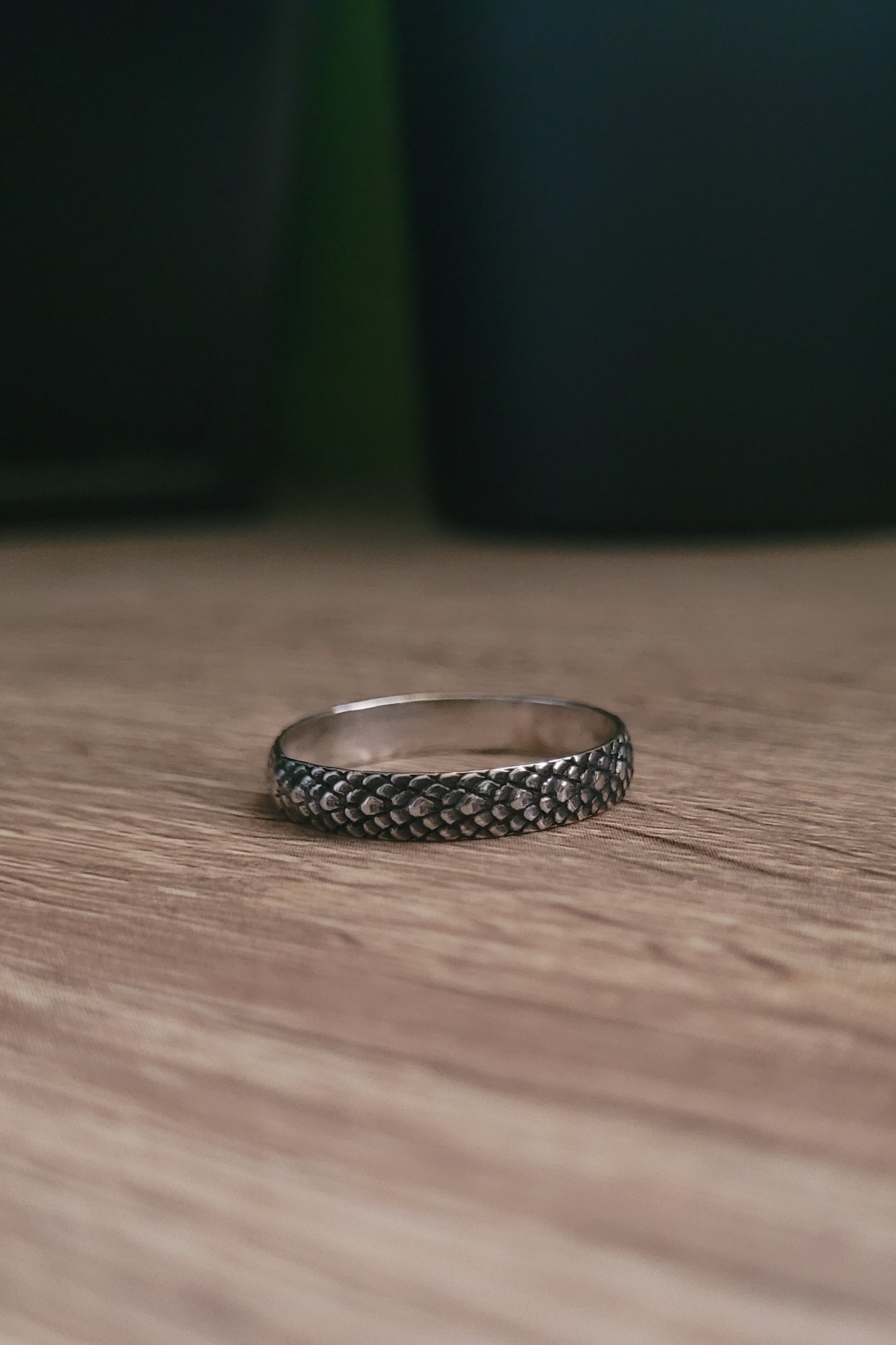 Snakeskin Band