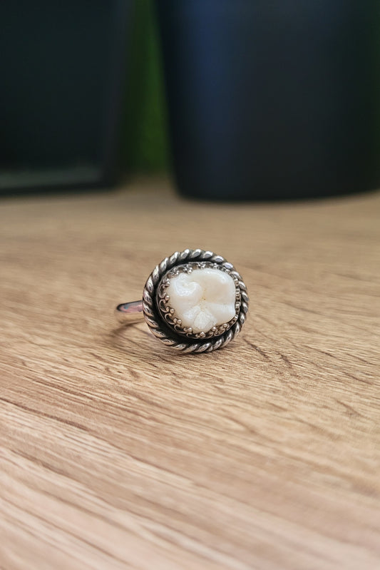 Tooth Ring Size 8.75